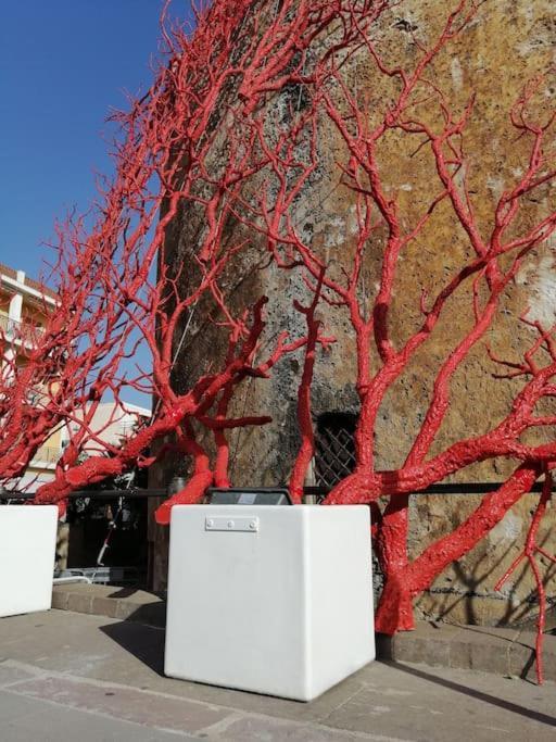 알게로 Palau Del Corso 아파트 외부 사진
